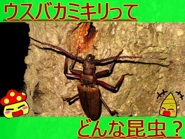 Thumbnail of post image 020